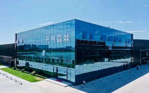 元?dú)馍趾螒帧胺ツ竟ぁ?？——臻鑫玖特別策劃，揭秘品牌破局之道